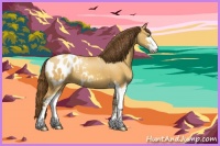 Horse Color:Sable Cream Champagne Sabino Appaloosa