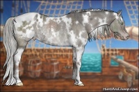 Horse Color:White Spotted Liver Red Dun Ice Appaloosa Rabicano 