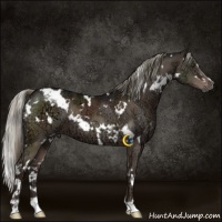 Horse Color:White Spotted Liver Chestnut Ice Mushroom 