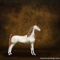 Horse Color:Buckskin Pearl Dun Sabino Tobiano 