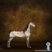 Horse Color:Bay Dun Appaloosa