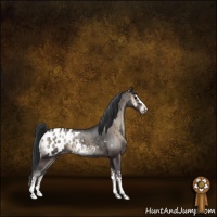 Horse Color:Blue Onyx Sabino Near Leopard