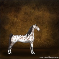 Horse Color:Brown Roan Dun Frame Near Leopard Brindle 