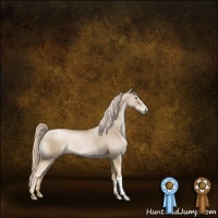 Horse Color:Chocolate Palomino Pearl 