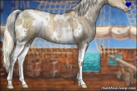 Horse Color:White Spotted Liver Red Dun Pearl Mushroom Brindle 