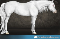 Horse Color:White Spotted Silver Smoky Creme Chinchilla Tobiano 