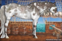Horse Color:White Spotted Liver Chestnut Ice Sabino Splash Rabicano 