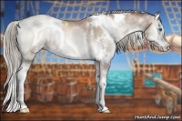 Horse Color:White Spotted Liver Red Onyx Pearl Splash Rabicano 
