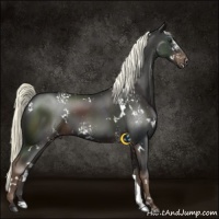 Horse Color:White Spotted Liver Chestnut