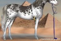 Horse Color:White Spotted Liver Chestnut Mushroom Splash 