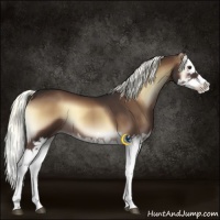Horse Color:Liver Red Onyx Sabino Splash