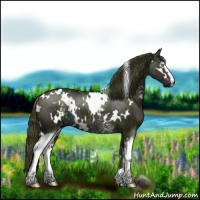 Horse Color:White Spotted Midnight Liver Red Dun Ice