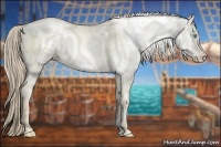 Horse Color:White Spotted Chocolate Palomino Ice Pearl Dun 