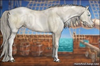 Horse Color:White Spotted Chocolate Palomino Ice Pearl Dun Rabicano Brindle 