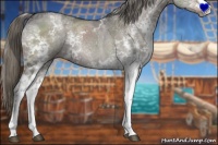 Horse Color:White Spotted Liver Red Dun Ice