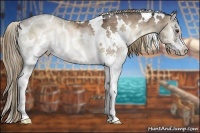 Horse Color:White Spotted Liver Red Onyx Ice Splash
