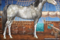 Horse Color:White Spotted Liver Red Dun Ice Sabino Rabicano