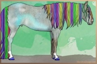 Horse Color:Painted Chocolate Palomino Roan Dun Sabino 