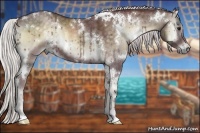 Horse Color:White Spotted Chocolate Silver Smoky Blue Onyx Chinchilla Sabino 