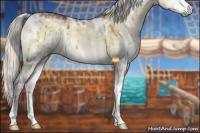 Horse Color:White Spotted Chocolate Silver Smoky Grullo Chinchilla Onyx Brindle 