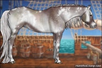 Horse Color:White Spotted Chocolate Silver Blue Onyx Chinchilla 