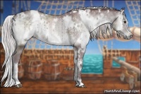 Horse Color:White Spotted Chocolate Silver Blue Onyx Chinchilla 