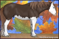 Horse Color:Liver Chestnut Sabino Splash 