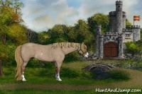 Horse Color:Liver Red Dun Roan Sabino