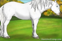 Horse Color:Cremello Dun Sabino