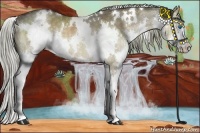 Horse Color:White Spotted Chocolate Palomino Dun Splash