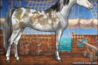 Horse Color:White Spotted Buckskin Dun 