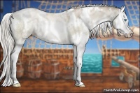 Horse Color:White Spotted Chocolate Palomino Ice Pearl Dun Splash Rabicano