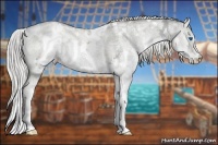 Horse Color:White Spotted Chocolate Palomino Ice Pearl Dun Splash