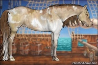 Horse Color:White Spotted Brown Pearl Dun 