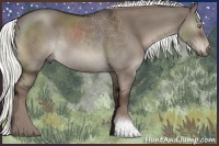 Horse Color:Liver Red Dun 