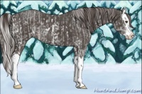 Horse Color:Platinum White Spotted Chocolate Palomino Dun Sabino Splash  and Platinum Liver Chestnut Sabino Splash 