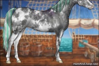 Horse Color:Painted White Spotted Silver Grullo Chinchilla Ice Onyx Sabino Brindle