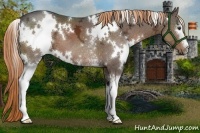 Horse Color:White Spotted Liver Chestnut Ice 