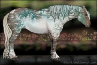 Horse Color:Silver Black Ice 