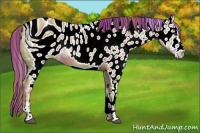 Horse Color:ERROR: UNKNOWN ANOMALY