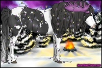 Horse Color:White Spotted Smoky Black Splash Tobiano