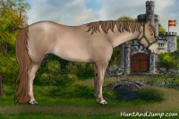 Horse Color:Liver Chestnut Pearl