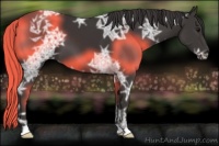 Horse Color:Smoky Black Ice 