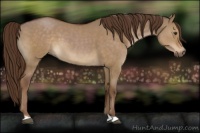 Horse Color:Liver Red Dun 