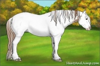 Horse Color:White Spotted Chestnut Ice Splash