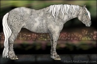 Horse Color:Silver Buckskin Ice Roan Pearl 