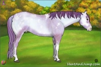 Horse Color:Painted Watercolor White Spotted Liver Red Onyx Roan Pearl 