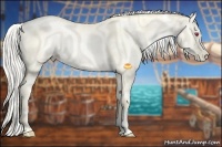 Horse Color:White Spotted Chocolate Silver Smoky Grullo Chinchilla Pearl Sabino 