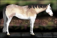 Horse Color:Bay Ice Onyx Splash