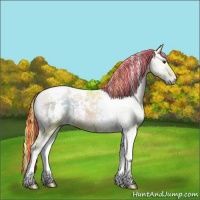 Horse Color:Painted Watercolor White Spotted Liver Red Onyx Ice Tobiano